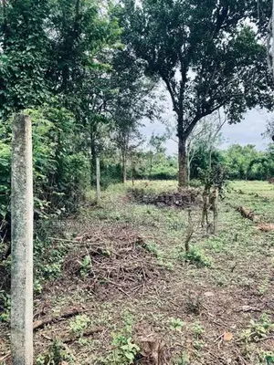 අම්බලන්තොට නගරයට නුදුරින් පර්චස් 31ක අගනා ඉඩමක් විකිණීමට