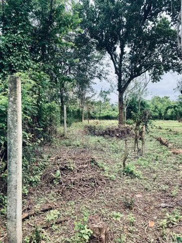 අම්බලන්තොට නගරයට නුදුරින් පර්චස් 31ක අගනා ඉඩමක් විකිණීමට