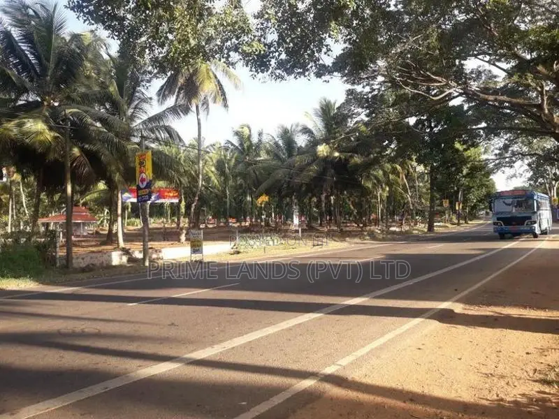 පදිංචියට ඉඩමක් අඹගස්වැව