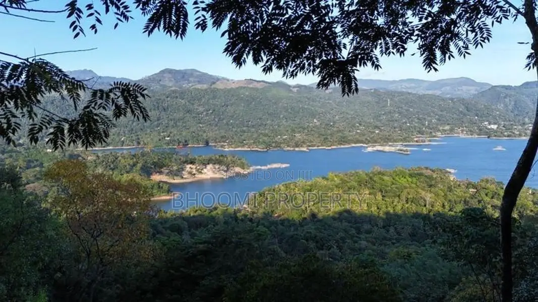 land for sale in digana