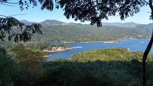 land for sale in digana
