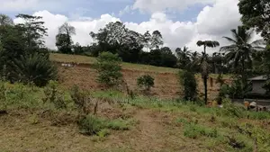 land for sale in panideniya