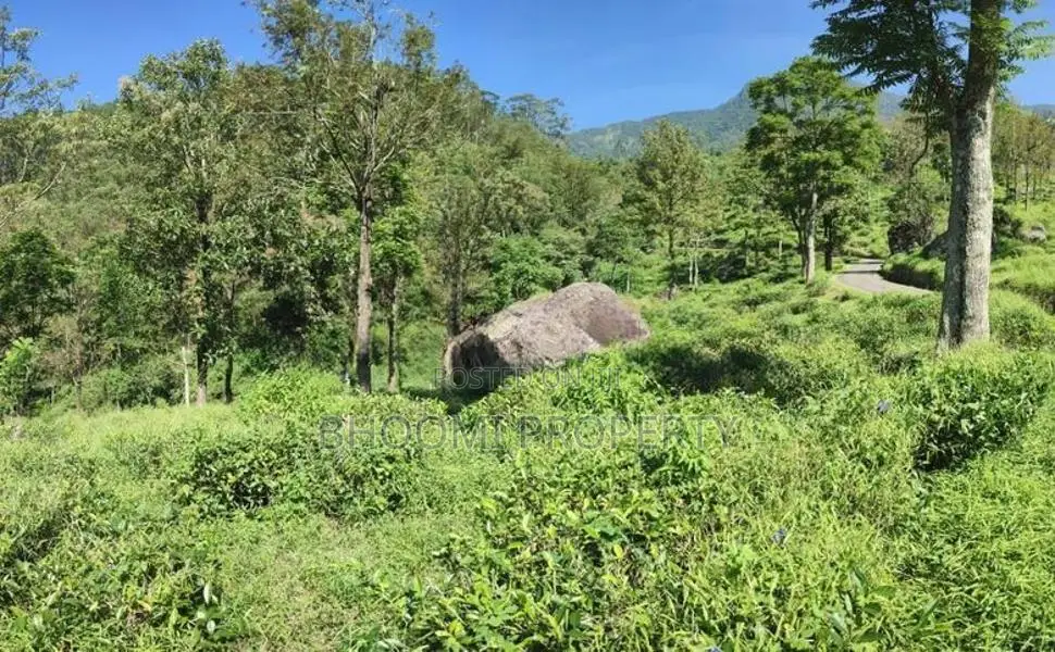 හපුතලෙන් ඉඩමක්