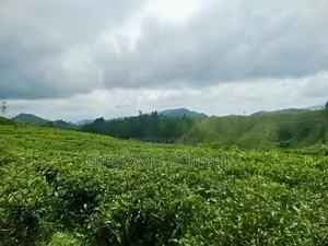 Land for sale in Hatton