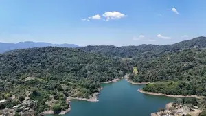 Land for sale in Digana