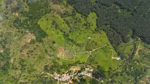 Houses for sale in Rozella