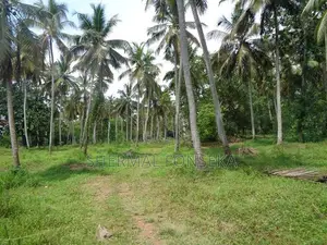 Divulapitiya Minuwang. Negombo bus rd. face Land Sale factory warehous