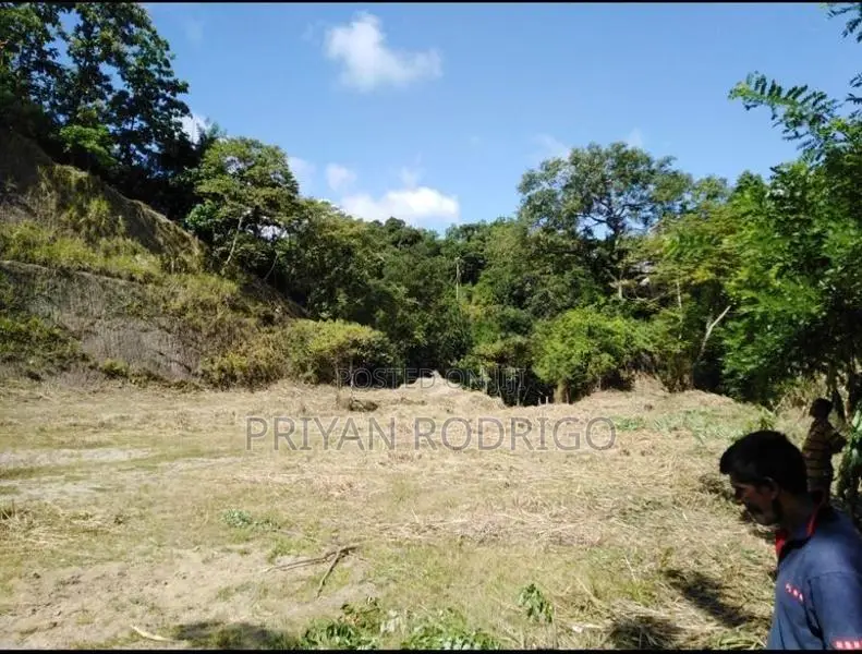 Galagedara 303 Perches of Land for Sale