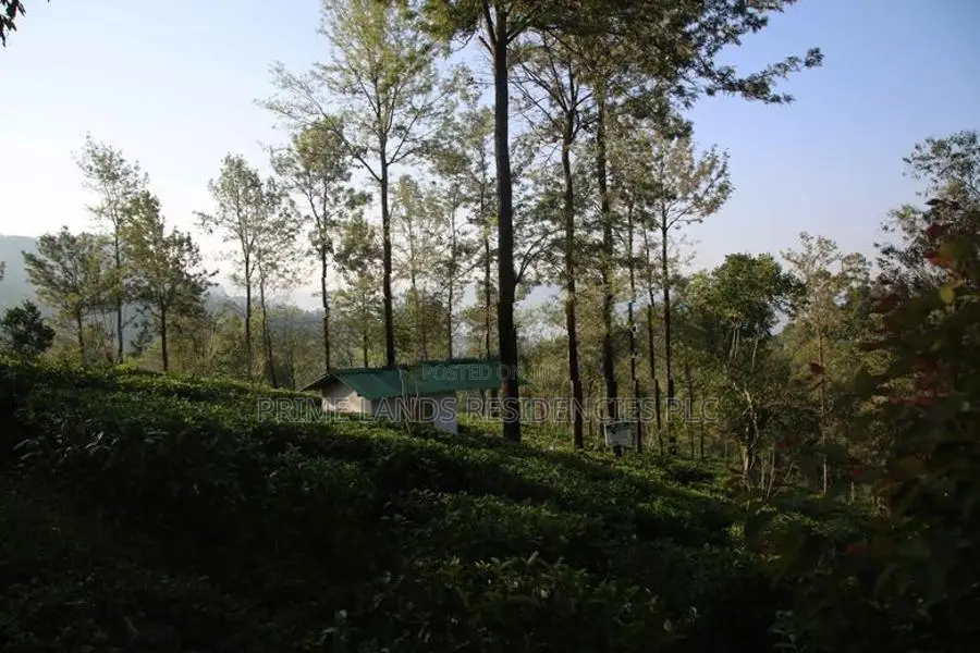 Land for Sale in Pussellawa