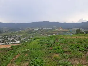 Land for Sale in Nuwaraeliya, Meepilimana