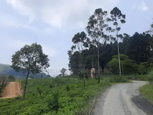 Land for Sale in Ramboda