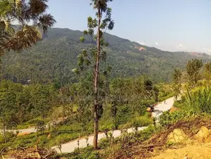 Mountain View Land for Sale in Nillamba