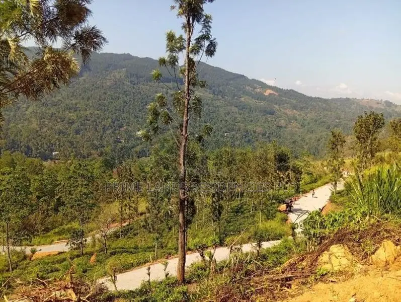 Mountain View Land for Sale in Nillamba