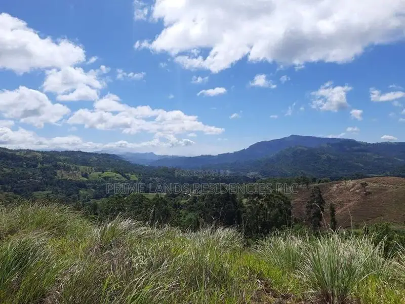 Land for Sale in Delthota