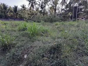 Bare Land for Sale Udubaddawa