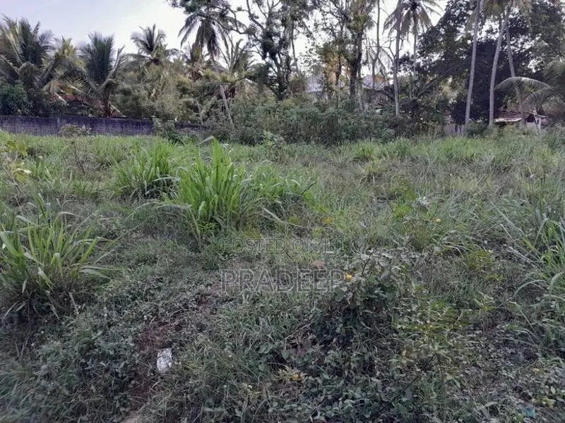 Bare Land for Sale Udubaddawa