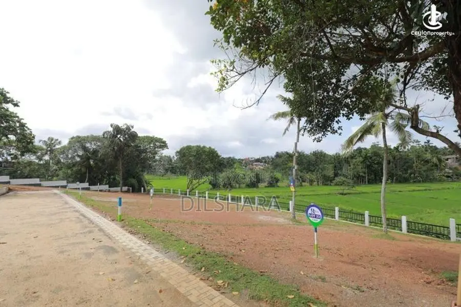 වෙල් යායකට මුහුණලා ඉඩමක් Matara