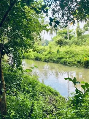 අම්බලන්තොට නගරයට නුදුරින් පර්චස් 31ක අගනා ඉඩමක් විකිණීමට