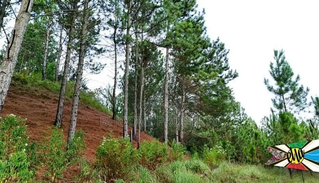 Land for sale in ella