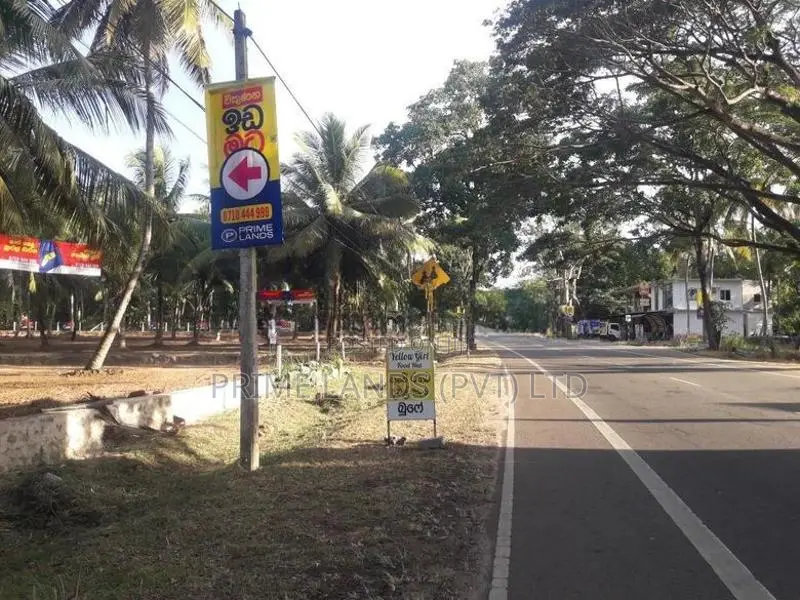 නේවාසික හෝ ව්‍යාපාරික බිම් කොටසක් විකිනීමට අඹගස්වැව