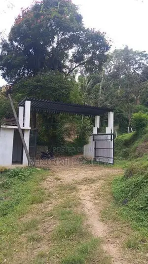 land for sale in digana