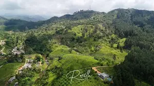 ශ්‍රී ලංකාවේ සුඛෝපභෝගී ඇග්‍රෝ විලා එකක හිමිකරුවෙකු වන්න