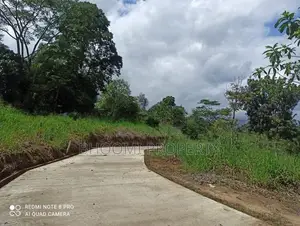 land for sale in panideniya