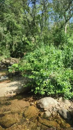 හපුතලෙන් ඉඩමක්