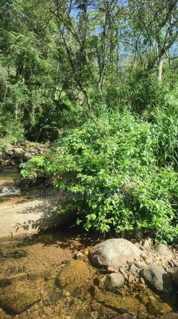 හපුතලෙන් ඉඩමක්