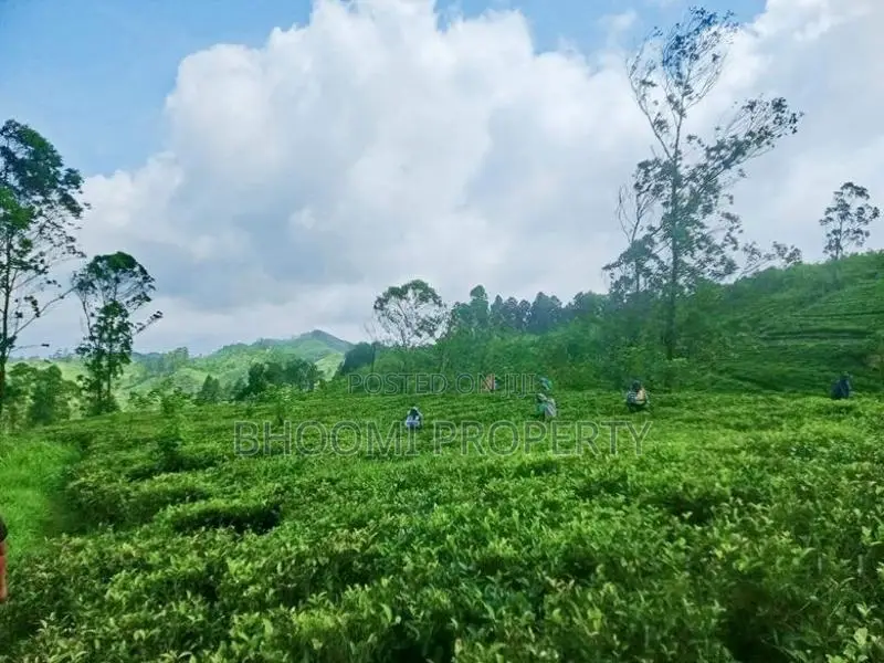 Land for sale in Hatton