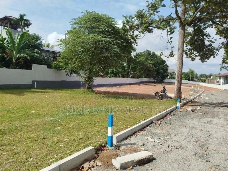 බොරලැස්ගමුව ගංගාරාම පාරෙන් බිම් කොටස් විකිණීමට