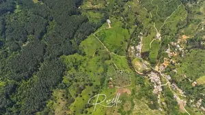 Beautiful Houses for sale in Rozella