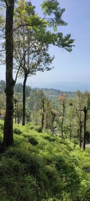 Land for sale in Haputale