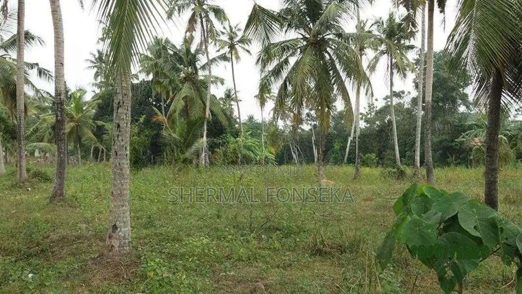Divulapitiya Minuwang. Negombo bus rd. face Land Sale factory warehous
