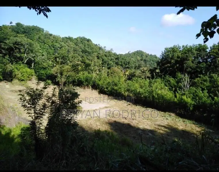 Galagedara 303 Perches of Land for Sale