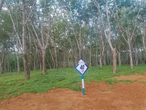 Land for Sale in Ahangama Tourism Area