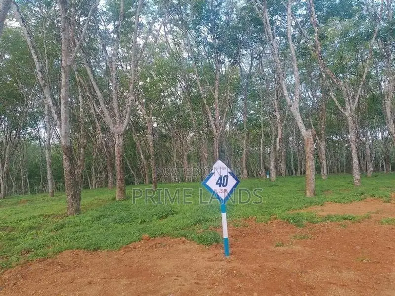 Land for Sale in Ahangama Tourism Area