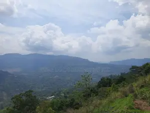 Land for Sale in Pundaluoya