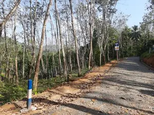 Land for Sale in Nelundeniya