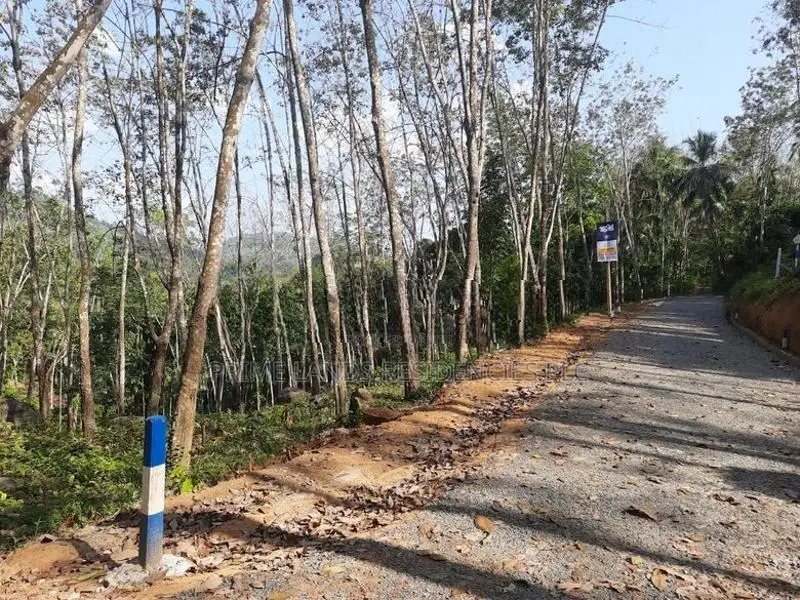 Land for Sale in Nelundeniya