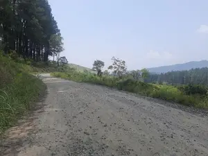 Land for Sale in Ramboda