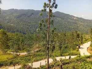 Mountain View Land for Sale in Nillamba