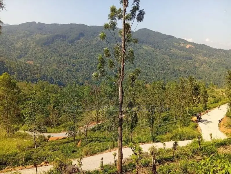 Mountain View Land for Sale in Nillamba