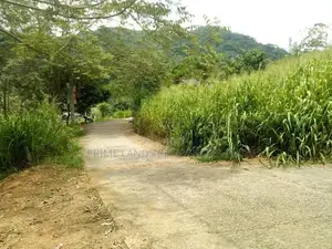 Land for Sale in Uthuwankanda
