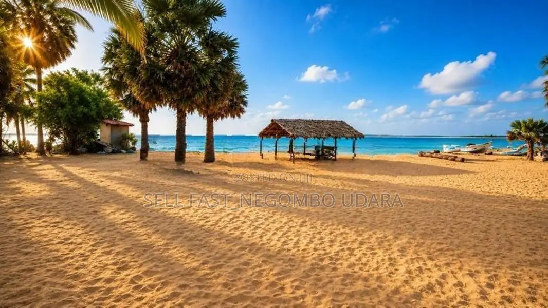 Hotel for Rent In Kalpitiya