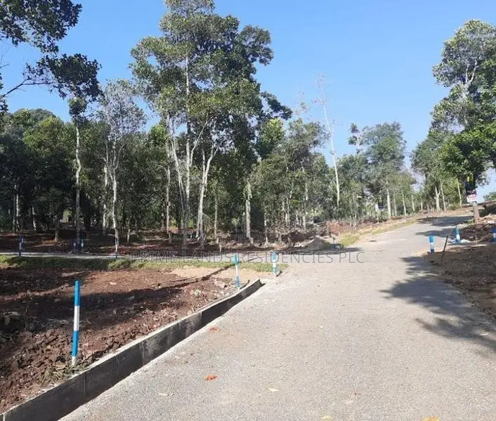Land for Sale in Sinharagama