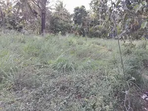 Bare Land for Sale Udubaddawa