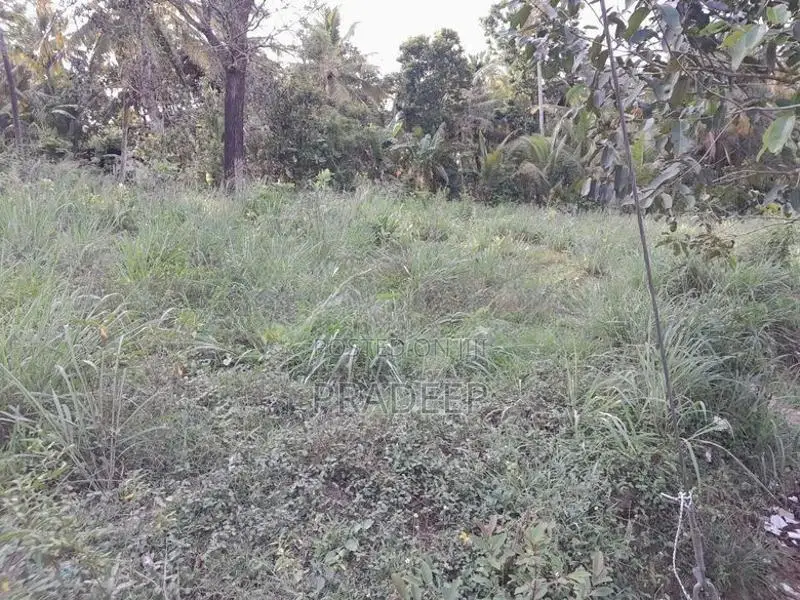 Bare Land for Sale Udubaddawa