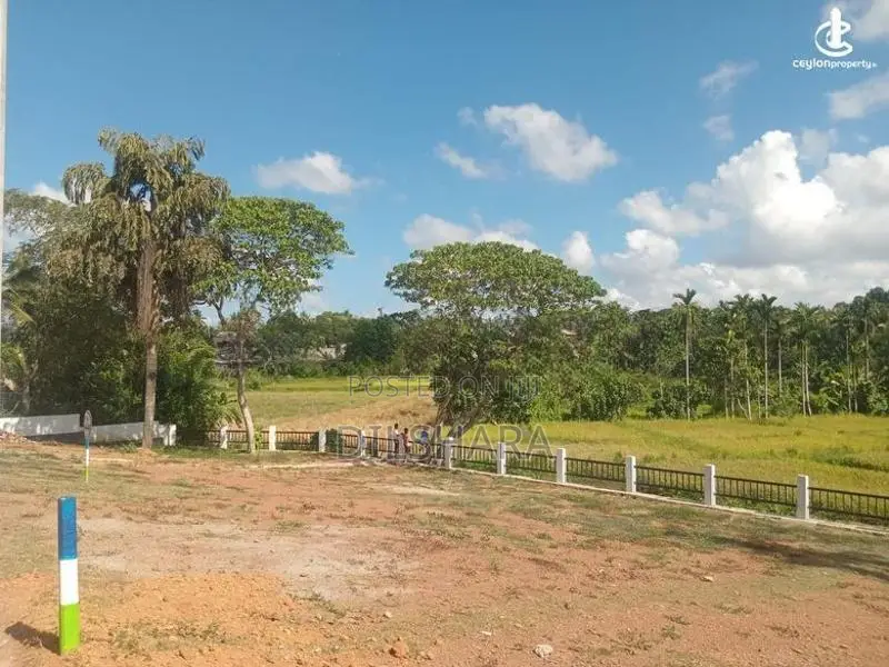 වෙල් යායකට මුහුණලා ඉඩමක් Matara