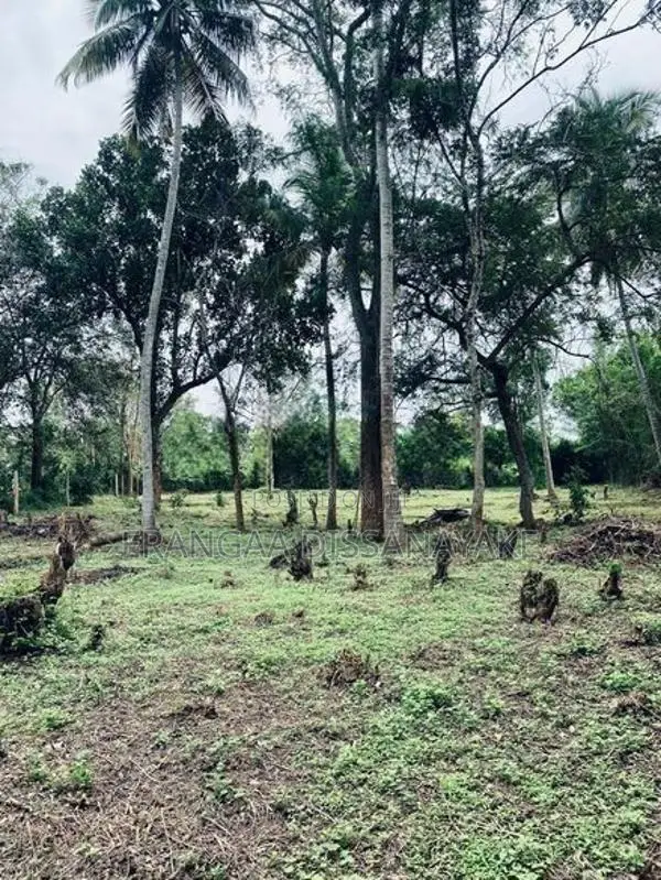 අම්බලන්තොට නගරයට නුදුරින් පර්චස් 31ක අගනා ඉඩමක් විකිණීමට